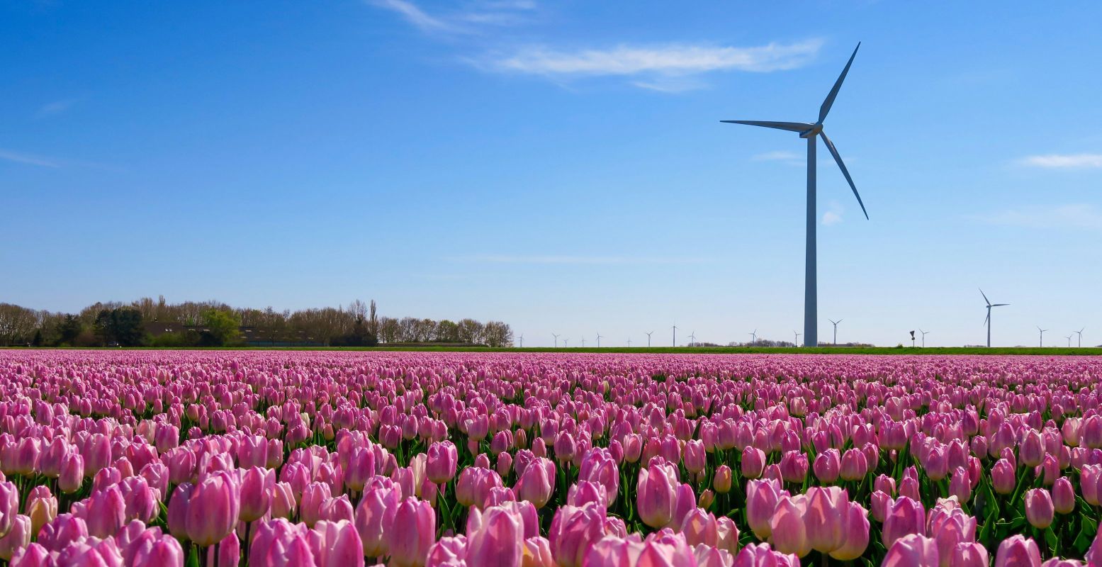 Wat doe jij het liefst in Flevoland? Foto: Stephan van de Schootbrugge via  Unsplash 