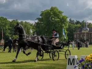 Concours Hippique Bennekom CH Bennekom. Foto: Tom FreriksFoto geüpload door gebruiker.