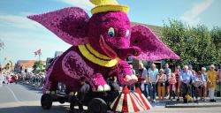Bloemencorso's september 2023