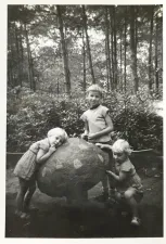 Efteling-expositie Foto: Efteling, Muzikale Paddenstoel, 1959.Foto geüpload door gebruiker.
