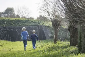 Foto geüpload door gebruiker Stichting Liniebreed Ondernemen.