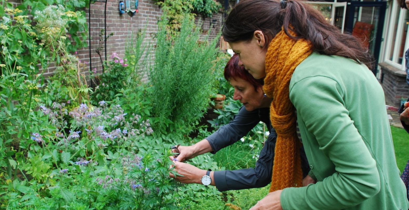 Een groene oase in de stad: Stadskruidentuin Nijmegen. En zo zijn er hier nog veel meer duurzame en natuurlijke uitstapjes te beleven! Foto: Stadskruidentuin Nijmegen.