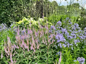 Foto: Verborgen Tuin Venlo