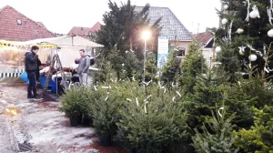 Kerstmarkt Gramsbergen Fotograaf: ProGram