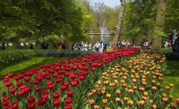 Keukenhof bloeit op z_n Hollands