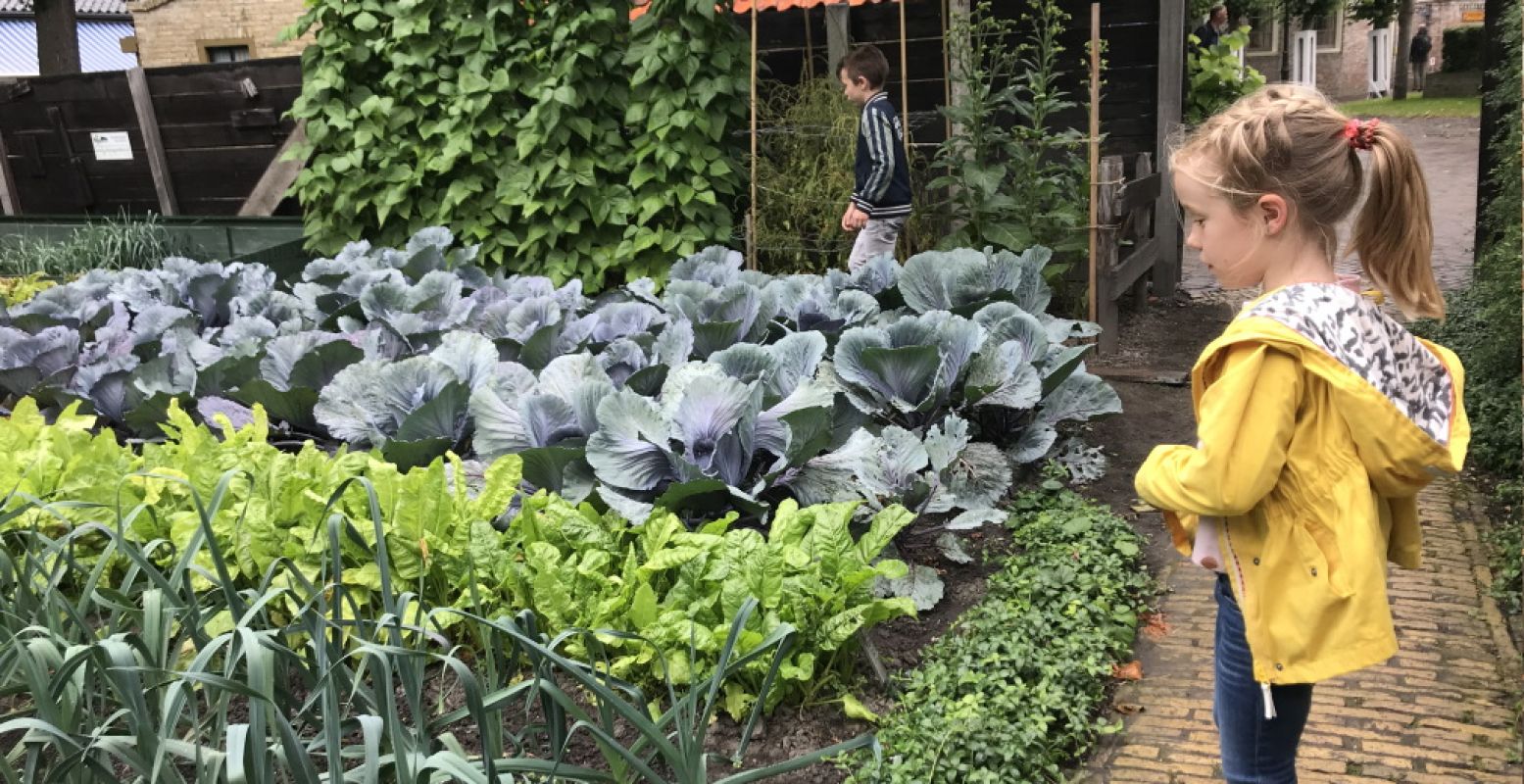 Wat groeit er allemaal in de moestuin? Foto: DagjeWeg.NL / Grytsje Anna Pietersma