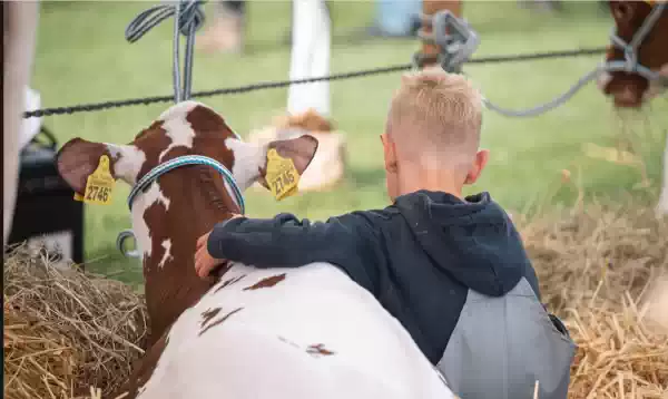 Landbouwshow Opmeer Fotograaf Fleur Maartje Bakker
