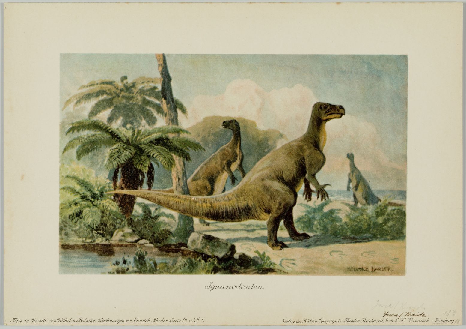 Heinrich Harder, Diplodocus, ca. 1916, chromolithografie. Verzamelkaart uit Wilhelm Boelsche, Tiere der Urwelt. Collectie Chris Manias, Londen.