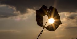 Romantisch dagje voor twee in de natuur