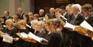 Rob Vermeulen brengt uitdaging met Musica Vocale