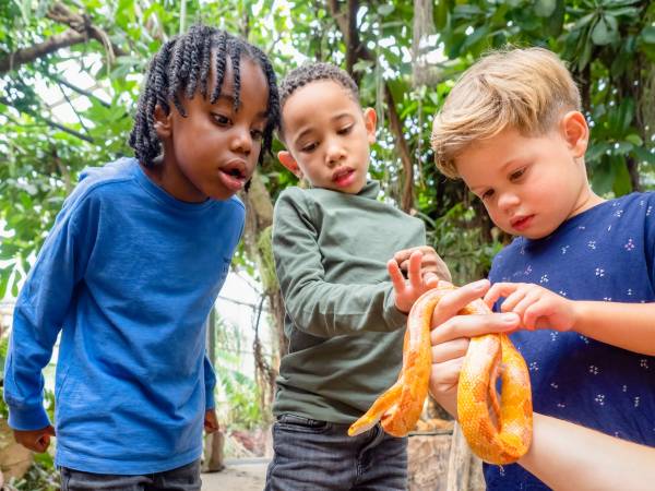 Almere Jungle is een toevluchtsoord voor exotische dieren. Foto: Almere Jungle © Elske Hazenberg