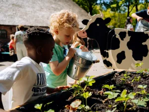 Nederlands Openluchtmuseum Leer koe melken op het Kindererf. Foto: Nederlands Openluchtmuseum © Linde Berends Fotografie