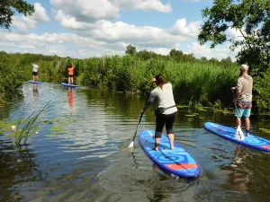Verken de Weerribben-Wieden op een supboard. Foto: WeerribbenSUP © Arjan Berger