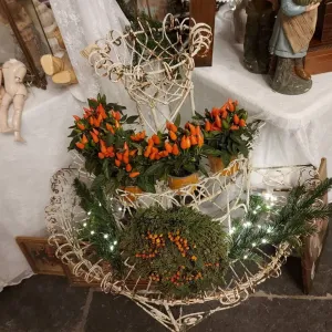Kerstmis op Kasteel Spelderholt Heerenlanden Events Foto geüpload door gebruiker.