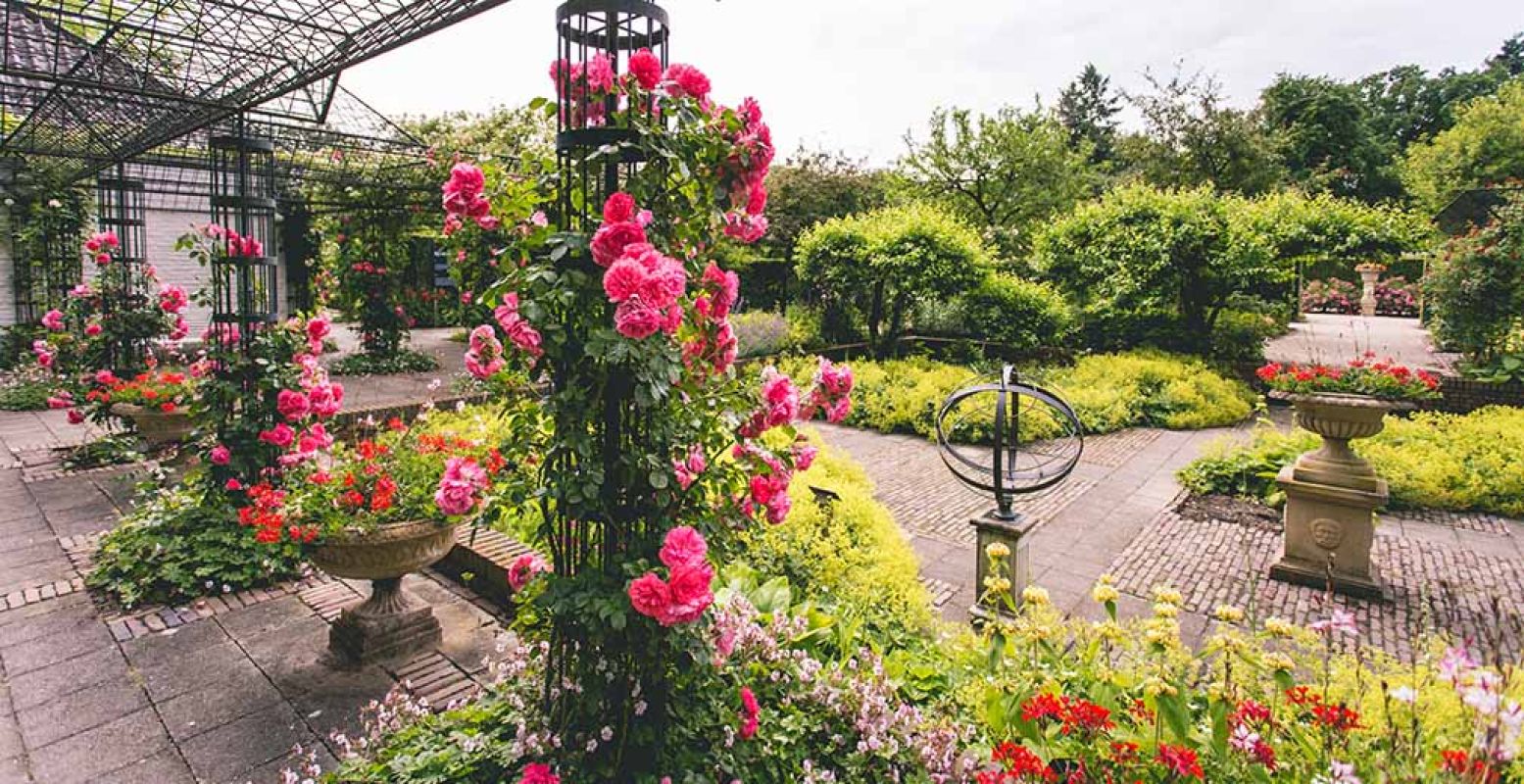 In het park zijn zo'n honderdvijftig verschillende soorten rozen te bewonderen. Foto: Kasteeltuinen Arcen.
