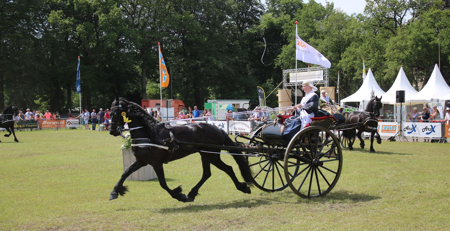 Ook in Roden zijn zowel springwedstrijden en dressuur als menwedstrijden en tuigpaarden te zien. Foto: Vereniging voor Volksvermaken Roden