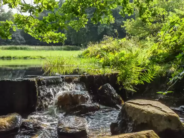In het park kom je overal waterpartijen tegen. Foto: Geldersch Landschap & Kasteelen In het park kom je overal waterpartijen tegen. Foto: Geldersch Landschap & Kasteelen