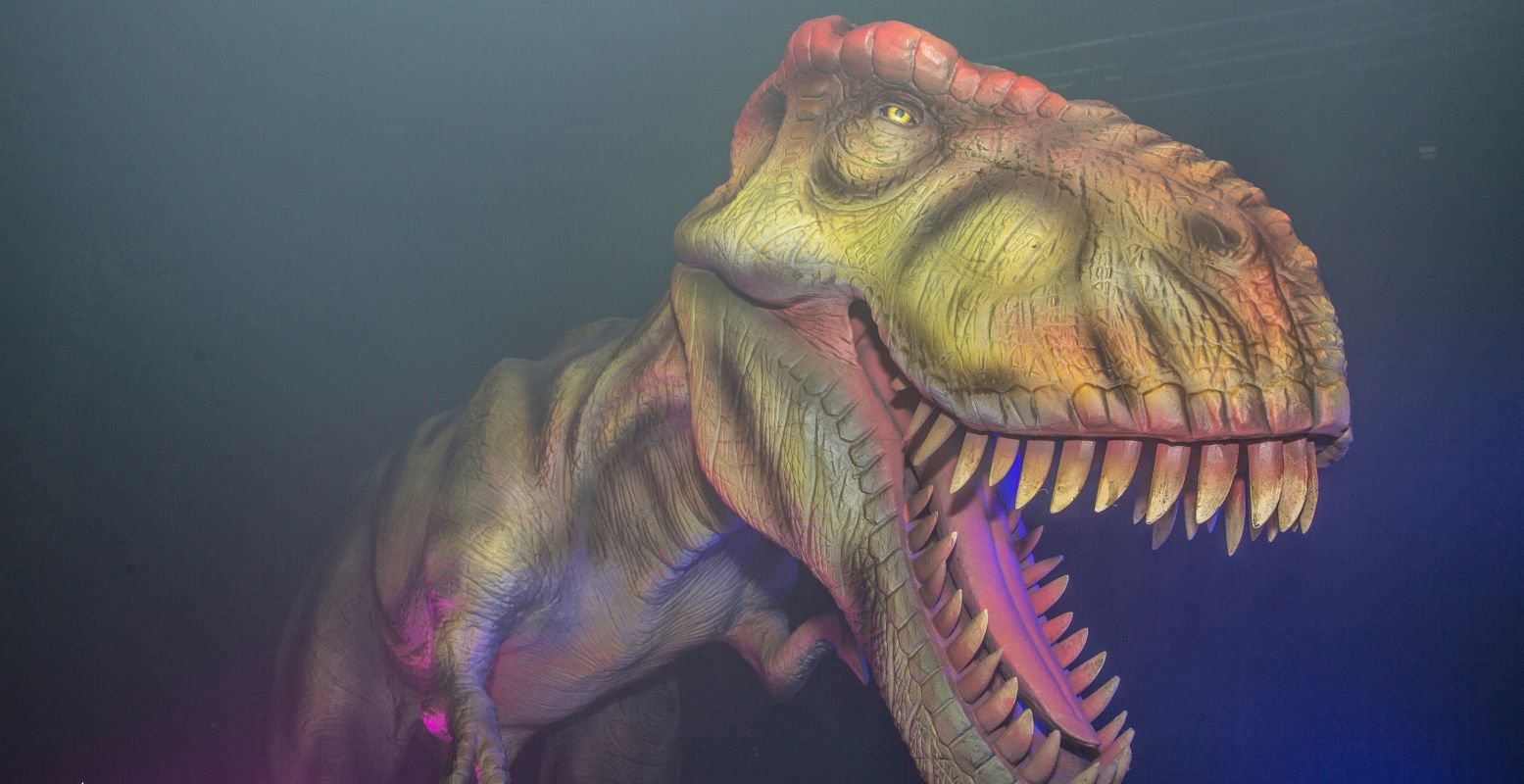 Ook de T.rex is dit jaar weer aanwezig in de Jaarbeurs. Foto: World of Dinos
