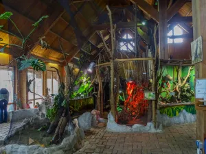 Wie ontdekt het eerst de insecten in hun eigen leefgebiedjes? Foto: Groningen Marketing © Joost Ridder