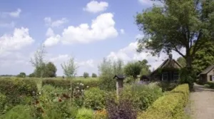 Wilde Zomer Weken: avontuur in de natuur