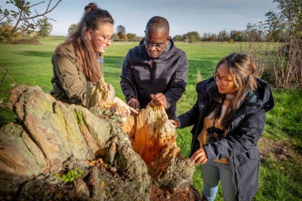Verken de Sint-Pietersberg met een Natuurgids Verken de Sint-Pietersberg met een Natuurgids | Foto ge&uuml;pload door gebruiker Natuurmonumenten.