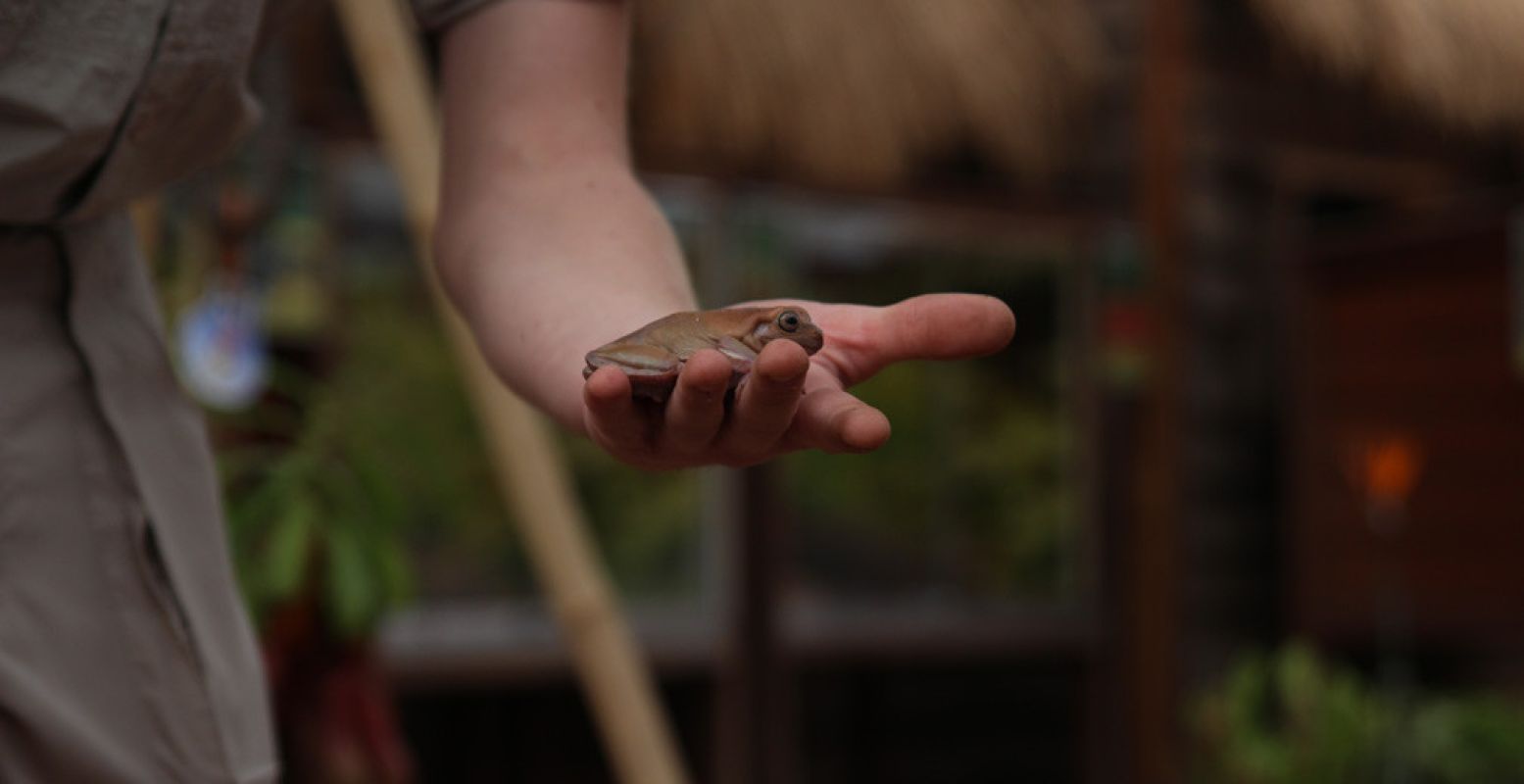 Medewerkers van de Orchideeën Hoeve leren je van alles over de dieren in het park.