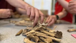 Workshop Archeozologie Foto geüpload door gebruiker Waterlinie Evenement