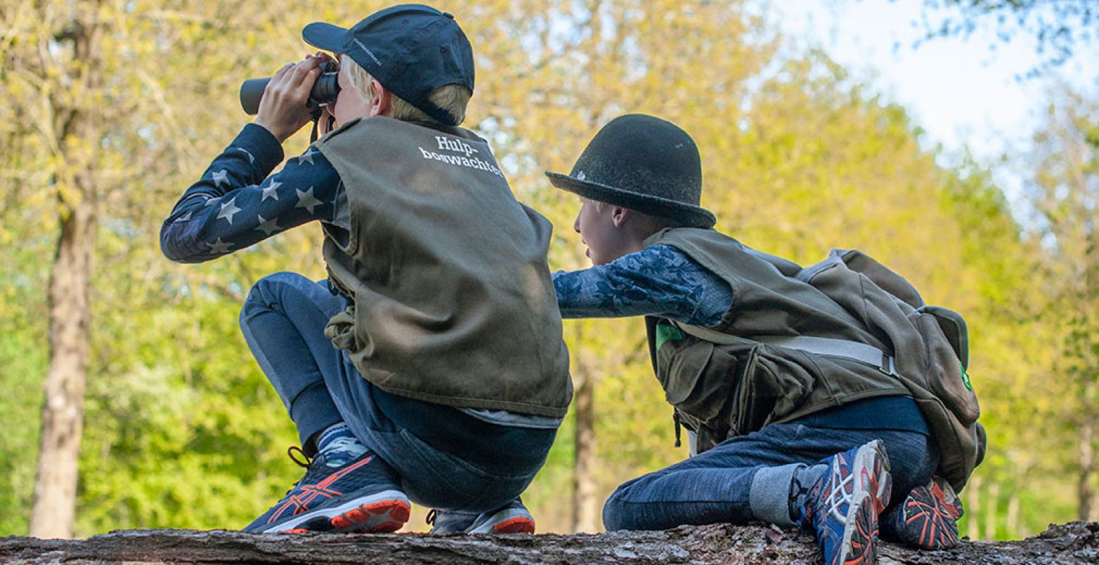 Wie heeft het in zich om een hulpboswachter te worden voor Staatsbosbeheer? Foto: Marco van de Burgwal, Staatsbosbeheer