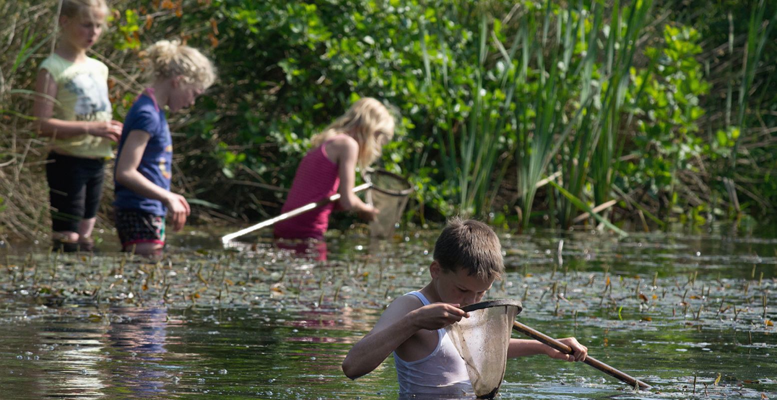 Ga op ontdekkingstocht tijdens een survival schoolreisje bij Nationaal Park De Alde Feanen. Foto: It Fryske Gea