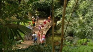 Zonnebaden in de dierentuin