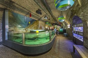 Museum en Noordzeeaquarium