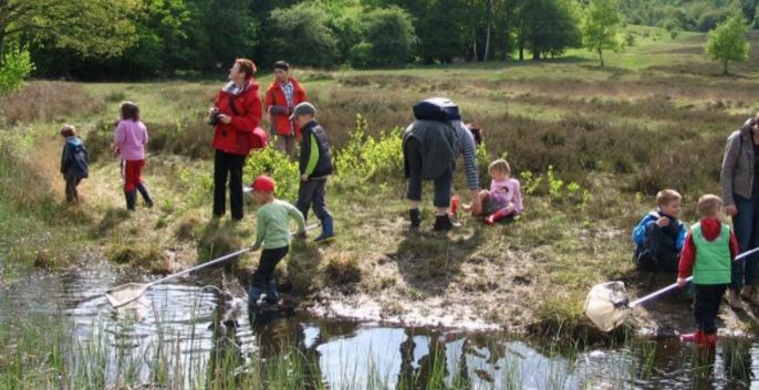 Neem je vangnet mee voor een spetterende watersafari. Foto: Natuurmonumenten