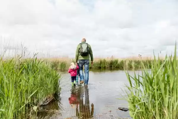 Wandelen over water in het Guisveld Wandelen over het water in het Guisveld | Foto ge&uuml;pload door gebruiker Staatsbosbeheer.