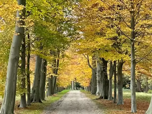 Wandel door het prachtige park tijdens de rondleiding. Foto: © Ronald Huigen