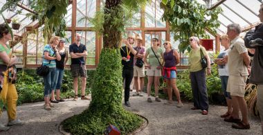 Ontspannend en leerzaam: dwaal door een botanische tuin