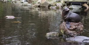 Gratis dagje uit in Fryslân met pake en beppe