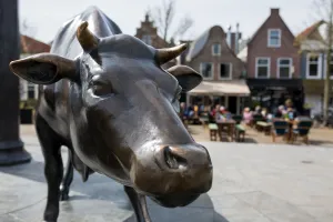 Stadswandeling Foto geüpload door gebruiker Stichting Liniebreed Ondernemen.