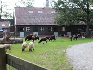 Stadsboerderij Asserbos