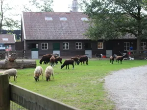 Stadsboerderij Asserbos Foto: DagjeWeg.NL.