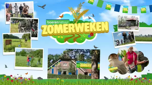 BoerenNatuur Zomerweken - wandelroutes boerenland Moodboard BoerenNatuur Zomerweken, Foto: BoerenNatuur