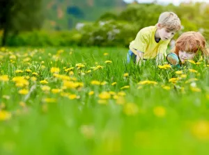Biodiversiteitsdag Leeuwarder bos Fotobeschrijving: Natuur. Foto: (c) het Natuurmuseum Fryslân.