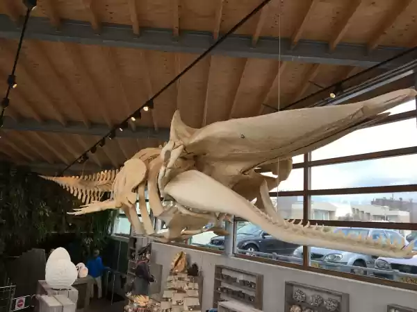 Foto: Zee Aquarium Bergen aan Zee ©