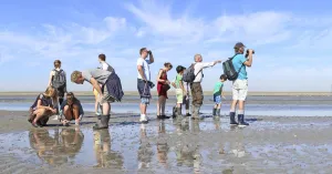 Kwelder, Wad en Lepelaars - De Schorren Texel Kwelder, Wad en Lepelaars - De Schorren TexelFoto geüpload door gebruiker Natuurmonumenten.