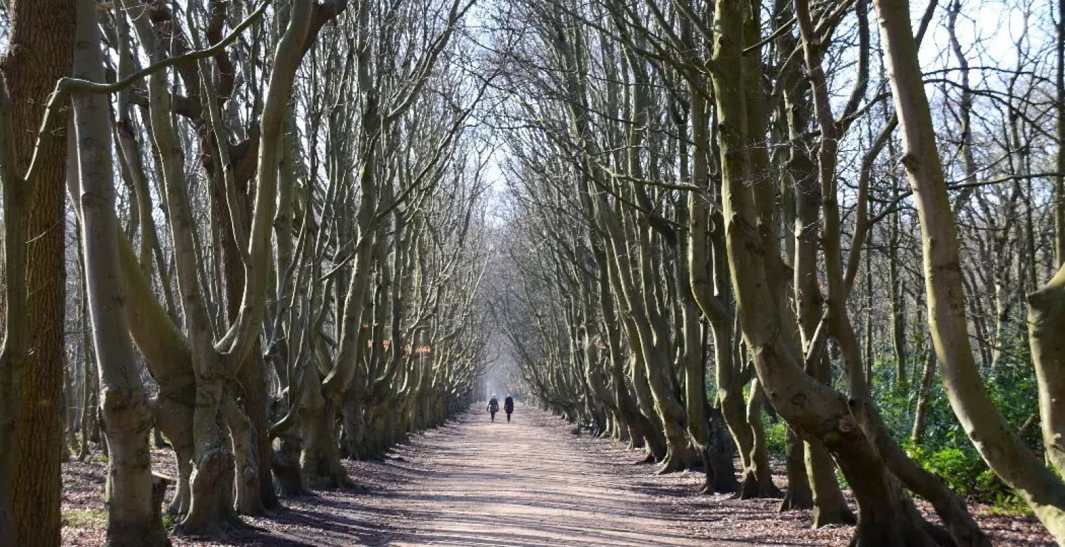 De Manteling in Zeeland is een mooie combi van bos, strand en duingebied. Maak deze Kerst ook een heerlijke winterwandeling. Foto: Ina Visscher