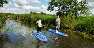 Dagje suppen? 6 mooie plekken om het water op te gaan Verken natuurgebied de Weerribben-Wieden op een supboard van WeerribbenSUP. Foto: © Arjan Berger, WeerribbenSUP