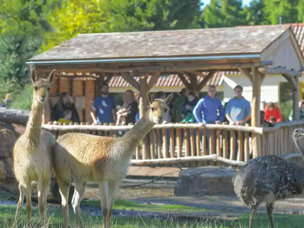 Bezoek de Argentijnse Cerrado. Foto: AviFauna