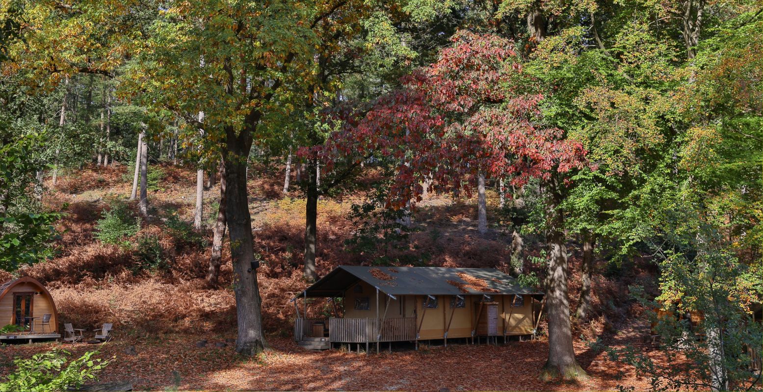 Op het kleinschalige vakantiepark Buitenplaats Beekhuizen verblijf je midden in de natuur. Foto: Buitenplaats Beekhuizen