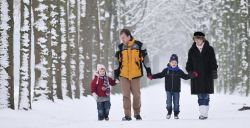 Top 5 uitjes voor kerst