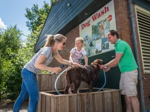 Dogwash Landal Twenhaarsveld. Foto: Landal