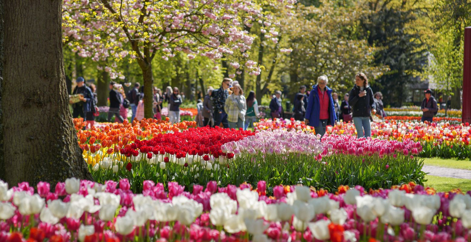 Keukenhof is een waar paradijs. Foto: Keukenhof